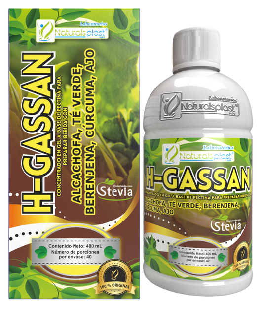 H-GASSAN X 400 ML